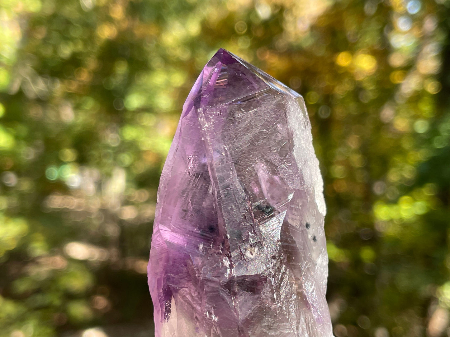 Amethyst Dragons Tooth || Bahia Amethyst Point || Amethyst Point with Root || Huge Amethyst Wand