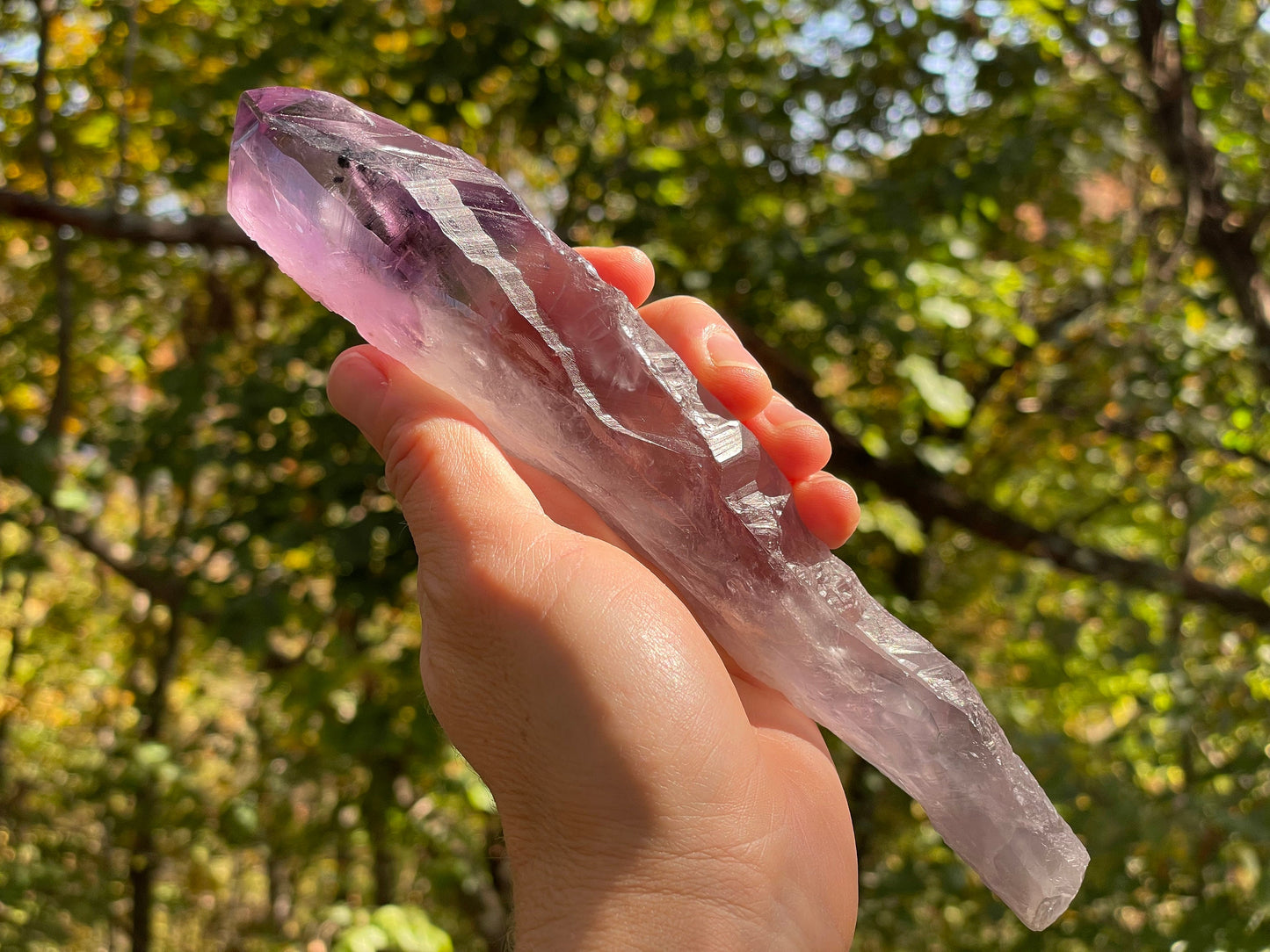 Amethyst Dragons Tooth || Bahia Amethyst Point || Amethyst Point with Root || Huge Amethyst Wand