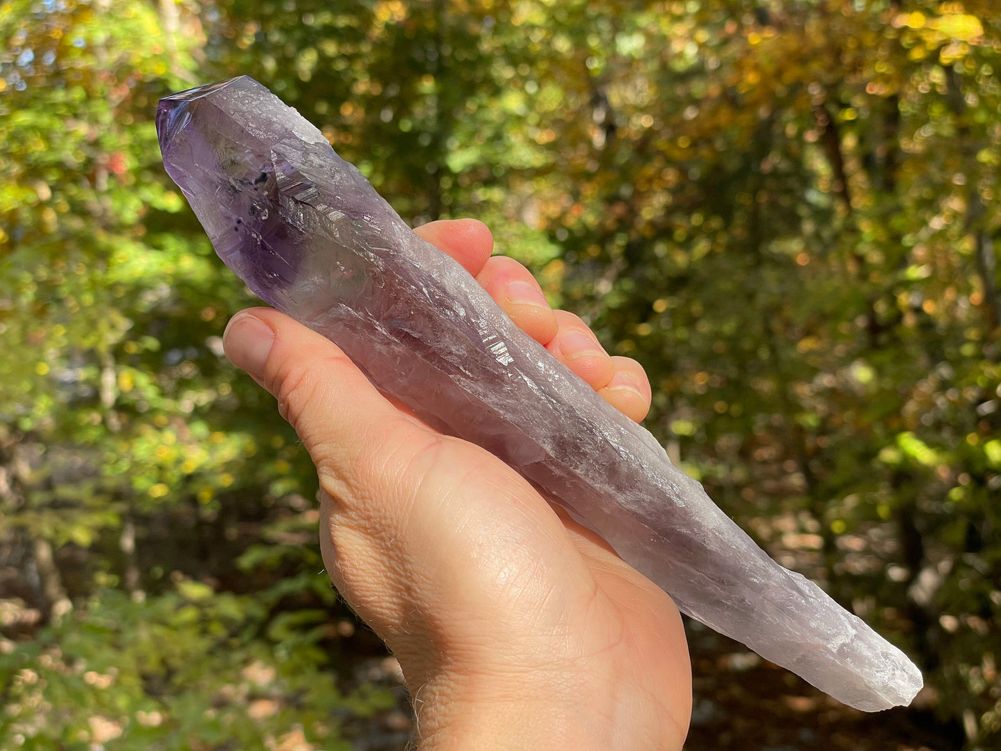 Amethyst Dragons Tooth || Bahia Amethyst Point || Amethyst Point with Root || Huge Amethyst Wand