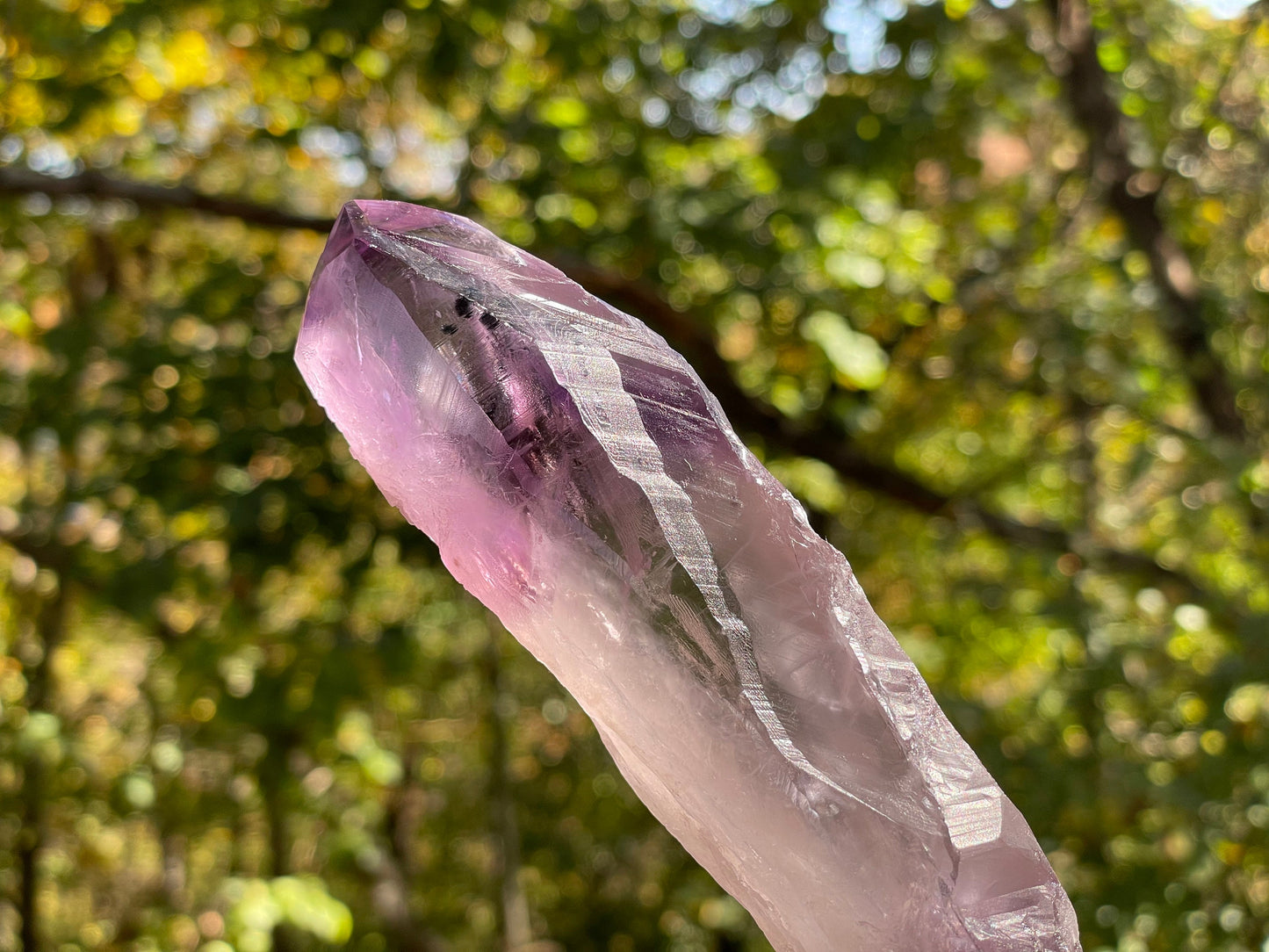 Amethyst Dragons Tooth || Bahia Amethyst Point || Amethyst Point with Root || Huge Amethyst Wand