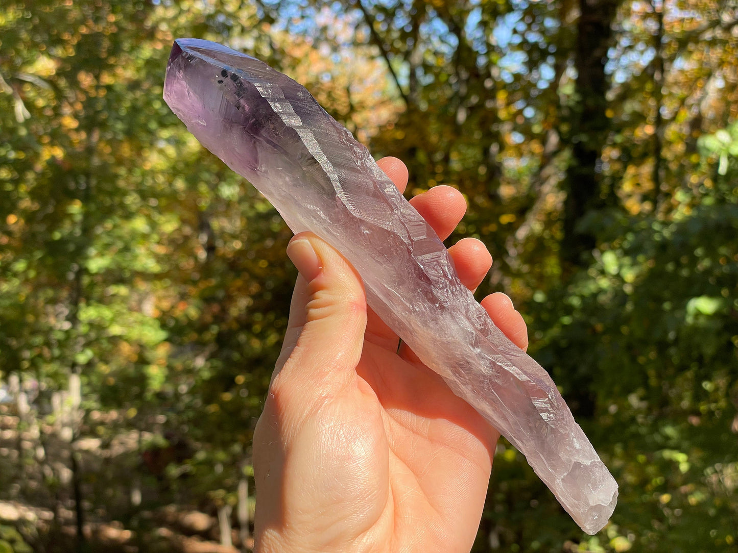 Amethyst Dragons Tooth || Bahia Amethyst Point || Amethyst Point with Root || Huge Amethyst Wand