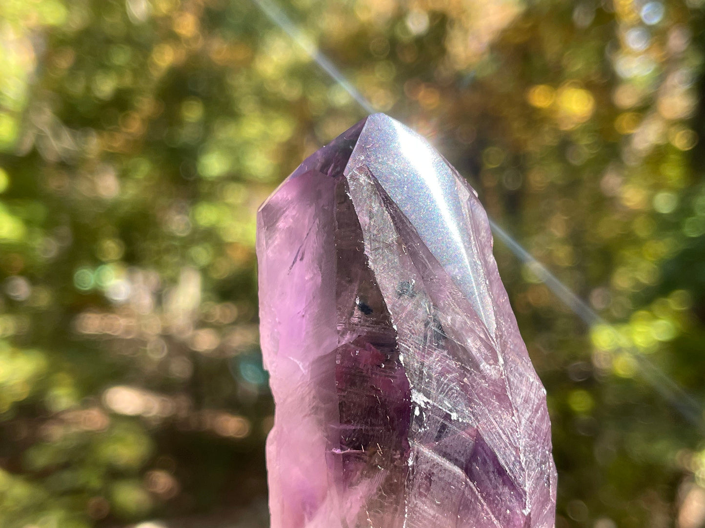 Amethyst Dragons Tooth || Bahia Amethyst Point || Amethyst Point with Root || Huge Amethyst Wand