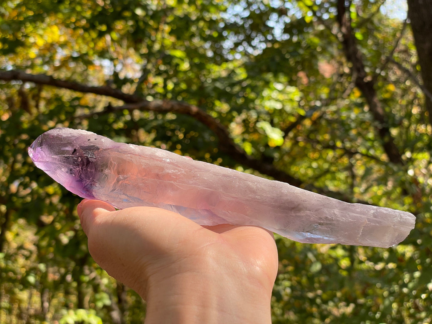 Amethyst Dragons Tooth || Bahia Amethyst Point || Amethyst Point with Root || Huge Amethyst Wand