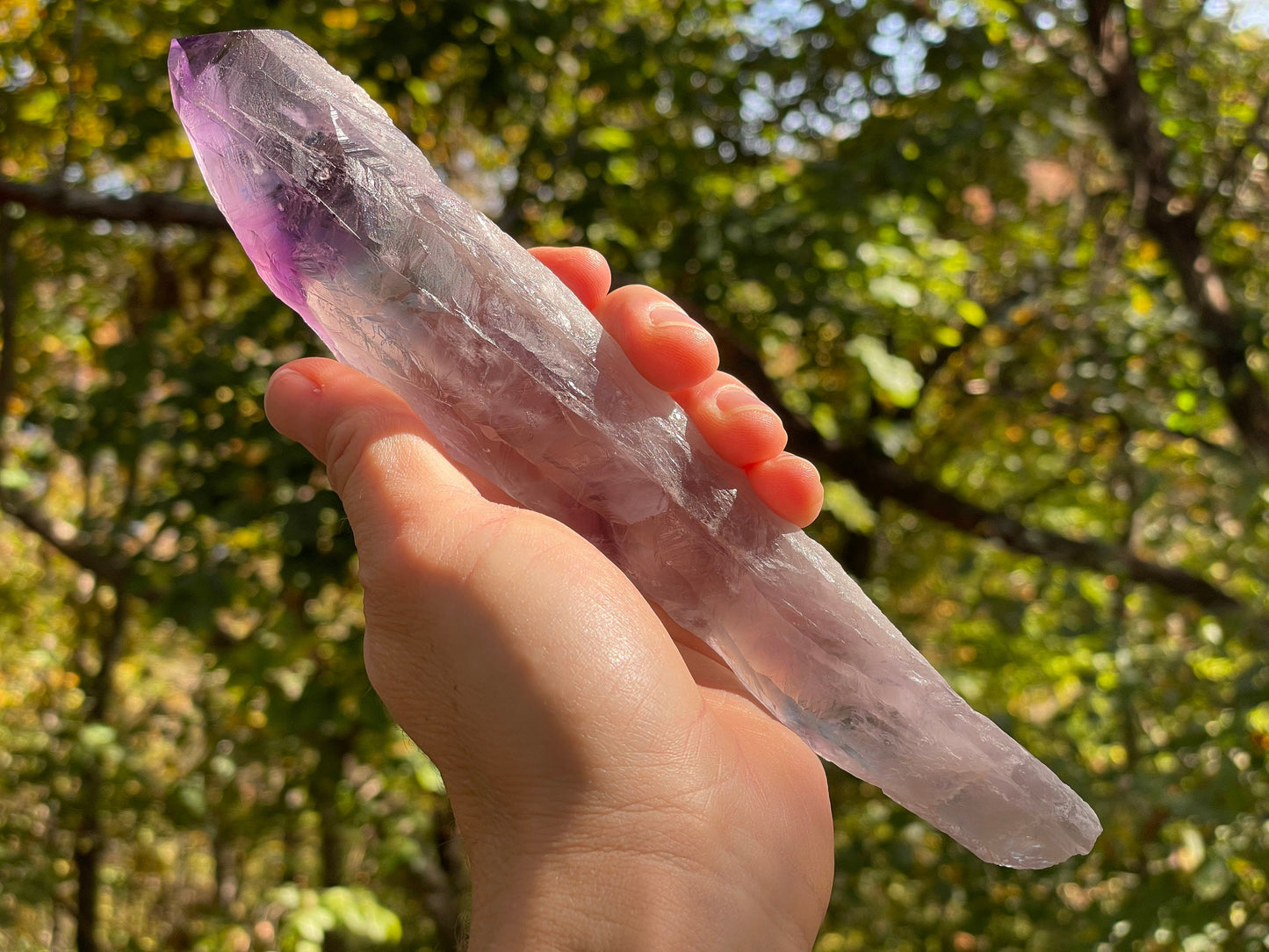 Amethyst Dragons Tooth || Bahia Amethyst Point || Amethyst Point with Root || Huge Amethyst Wand