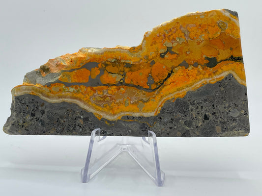 Natural Bumblebee Jasper Slab || Polished Bumblebee Jasper Stone || Pick your Size!