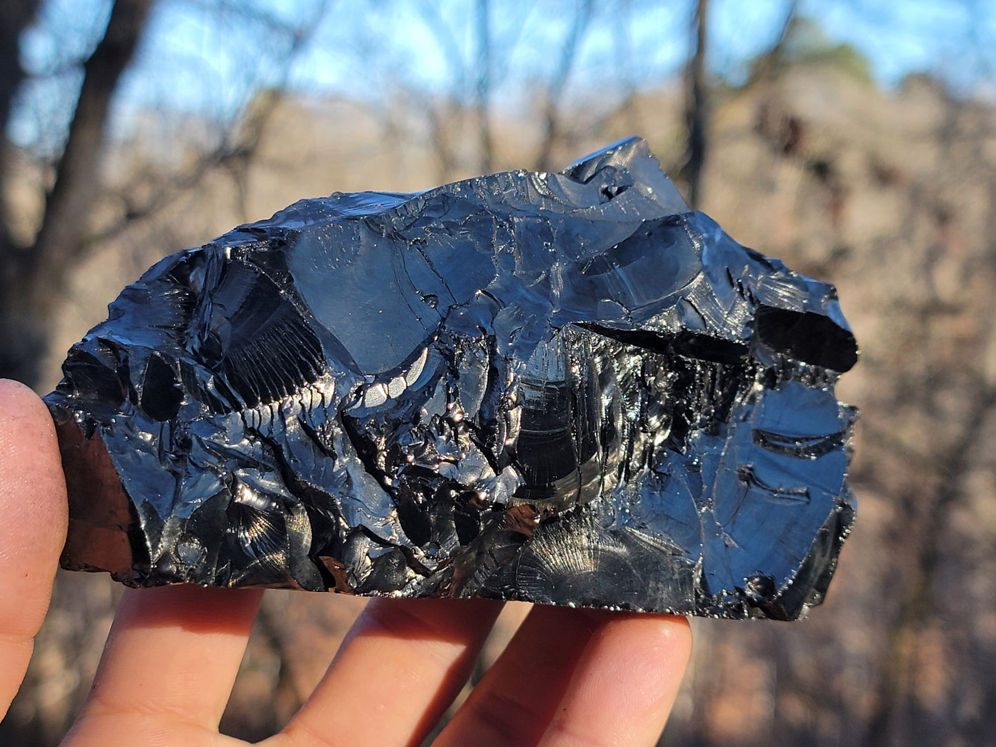 Raw Elite Shungite Crystal || Colombian Shungite || Huge Raw Elite Shungite || New Find Raquirite Shungite || Shungite Stone