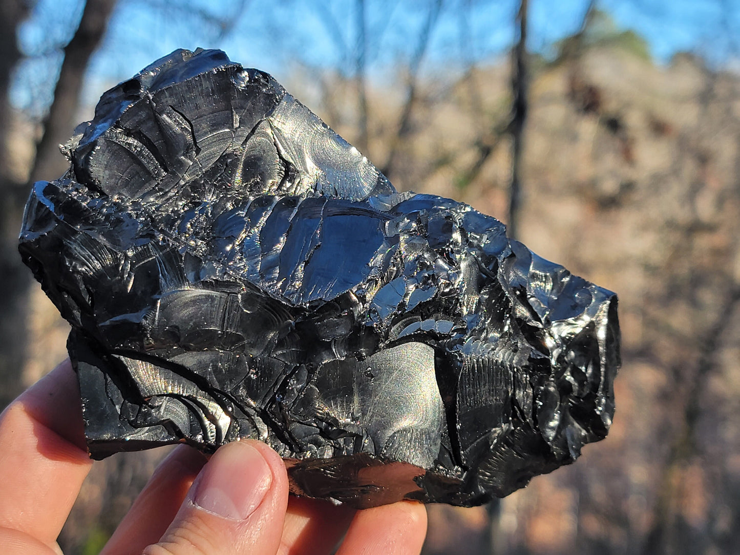 Raw Elite Shungite Crystal || Colombian Shungite || Huge Raw Elite Shungite || New Find Raquirite Shungite || Shungite Stone