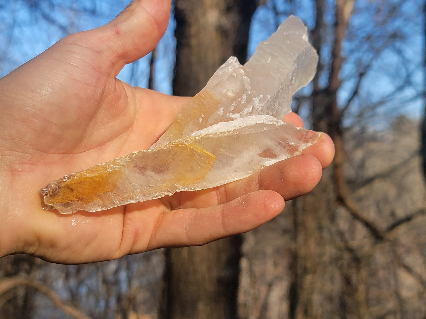 Golden Phantom Selenite Crystal Cluster || Sacral Selenite || Utah Selenite Slices || Master Healer Crystal