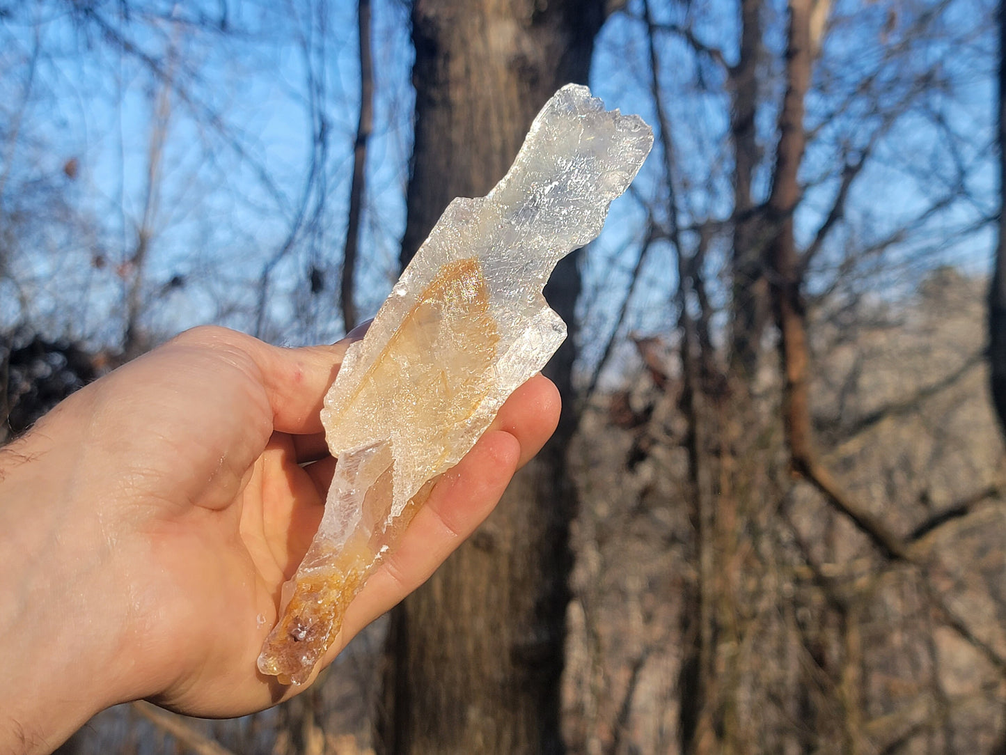 Golden Phantom Selenite Crystal Cluster || Sacral Selenite || Utah Selenite Slices || Master Healer Crystal