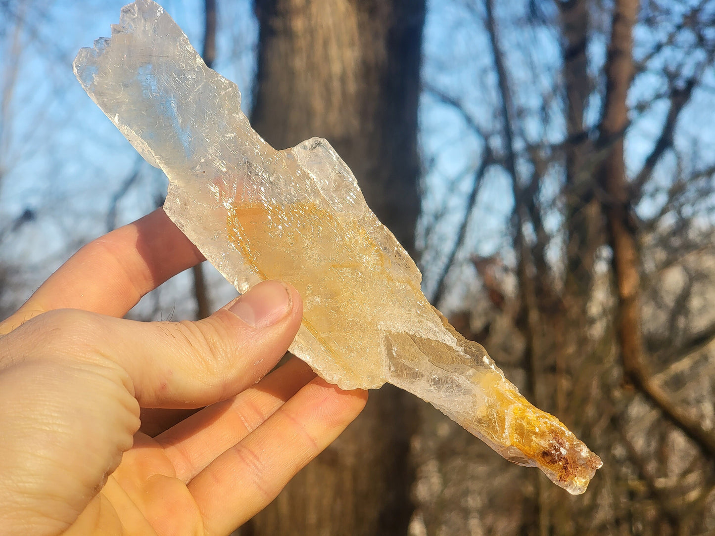 Golden Phantom Selenite Crystal Cluster || Sacral Selenite || Utah Selenite Slices || Master Healer Crystal