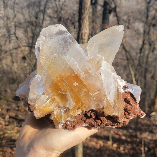 Golden Phantom Selenite Crystal Cluster || Sacral Selenite || Utah Selenite Cluster || Master Healer Crystal