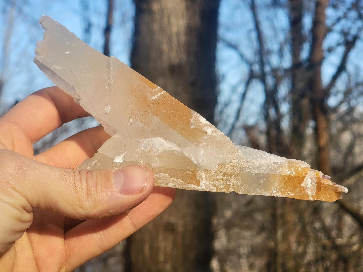 Golden Phantom Selenite Crystal Cluster || Sacral Selenite || Utah Selenite Slices || Master Healer Crystal