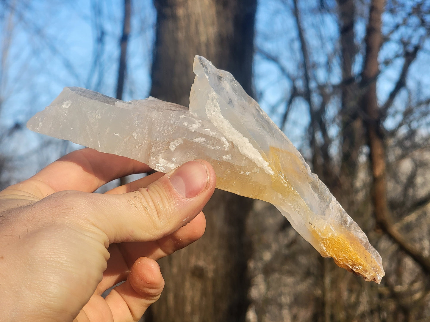 Golden Phantom Selenite Crystal Cluster || Sacral Selenite || Utah Selenite Slices || Master Healer Crystal